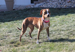 52513076966_c6061d0c66_k