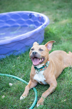 50160568868_bed12ad983_k