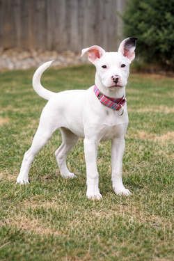 ChatGPT Image Mar 26, 2026, 08_36_06 AM