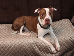 img_6144a_48833517973_o