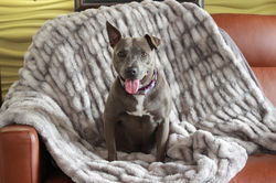 53099198509_b7829cf4b6_k