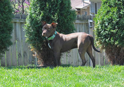 54502771254_7a83e705cd_k