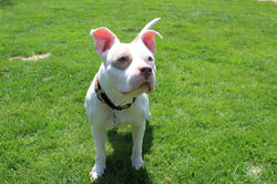 img_4692_46966550375_o