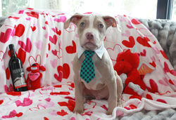 52659489369_81d48fe115_k