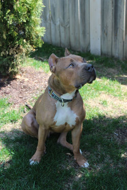 52090825255_670fc67c99_k