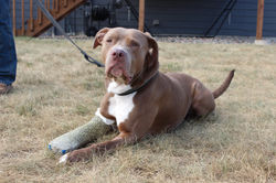 51311128454_d0a28fe1f0_k