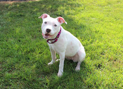 50106041053_b7d0244191_k