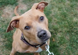 50717253031_99fee3657c_k