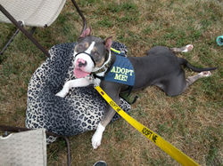 img_20170806_094347_38233813414_o