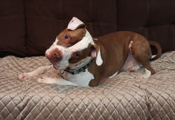 img_6149a_48834058122_o