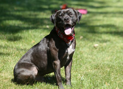 50045912302_cfd2bff322_k