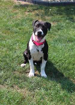 50259936873_283e49985c_k