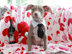 52659734250_a064cb6a4b_k