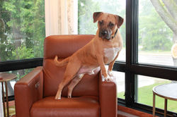 53096395893_ddaec44de0_k