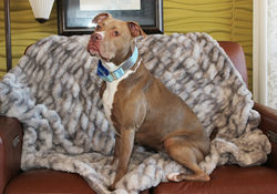 54362088551_6859f2793e_k