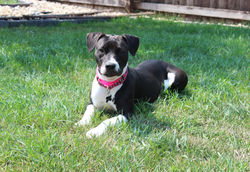 50259936363_c2d1830f4f_k