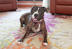 53316842339_1c17bbcf21_k