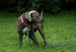 merylstreep_12_48458812496_o