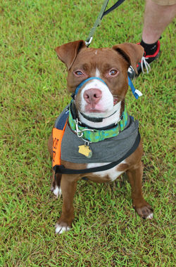 img_3459a_43149095464_o