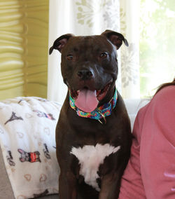 51537582431_acd4054ff5_k