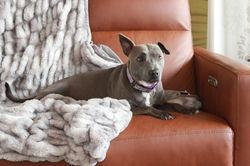 53099198469_ba910ee08b_k