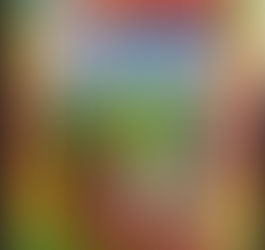 人生をより高い視点で眺める 12月7日 フェアリーテイルタロットからのメッセージ