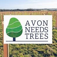 Avon-Needs-Trees-2.png
