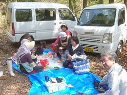 タラの芽、大収穫。