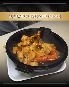 Live mud crab Chatswood