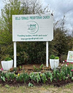 first garden picture.jpg