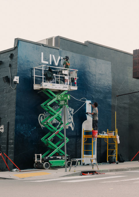 Hand painted outdoor advertisement for Willie's Remedy in Gulch, Nashville.