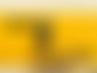 The Power Of Hand Paint