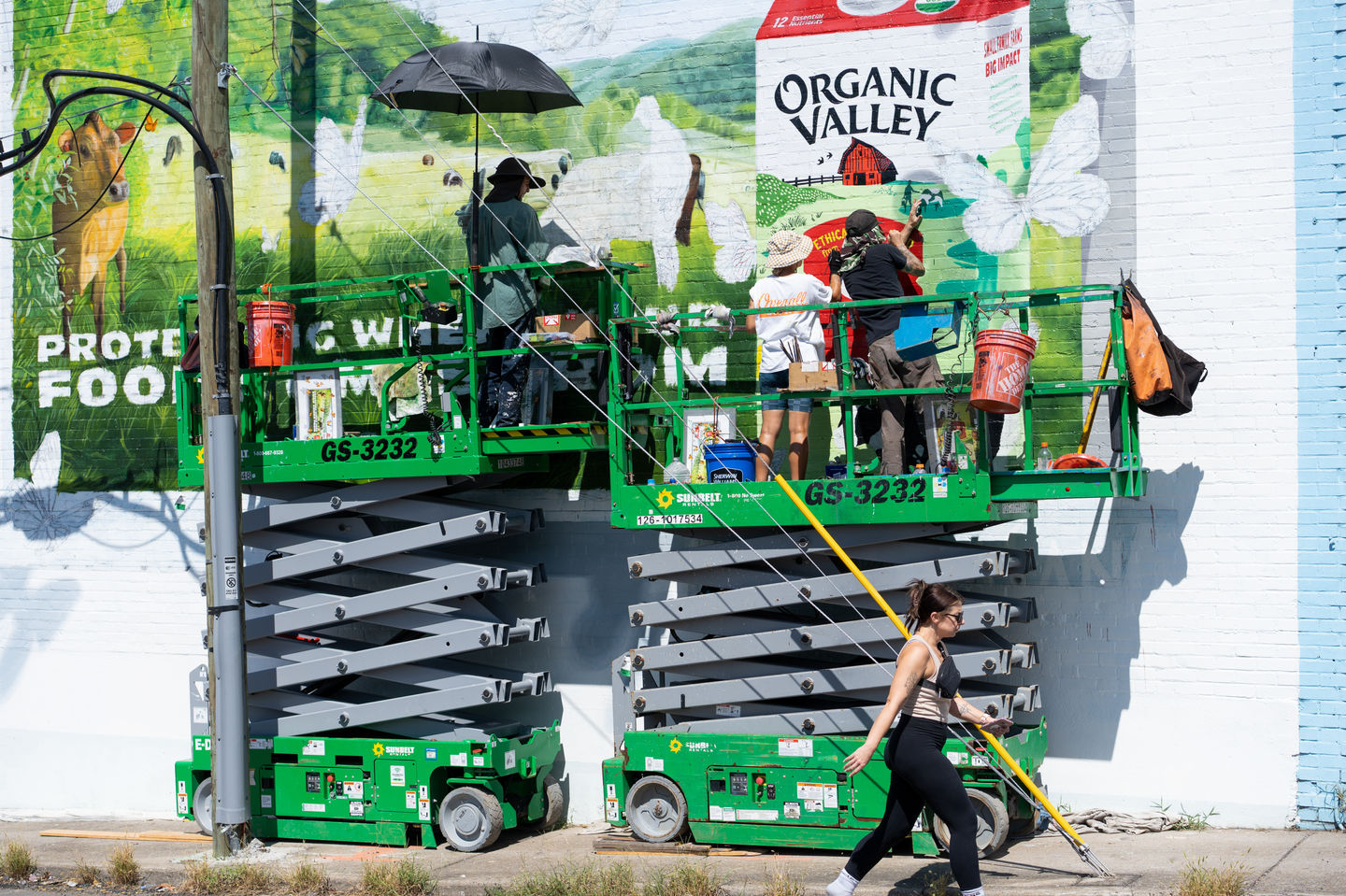 Hand Painted Mural for Organic Valley in Nashville