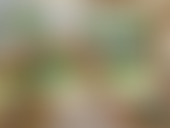 LAUDO TÉCNICODE PLAYGROUNDS