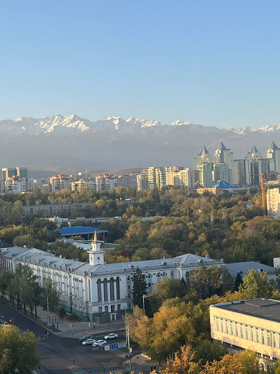 President's Report on the 1st World Congress on Inclusive Education                         Almaty, Kazakhstan