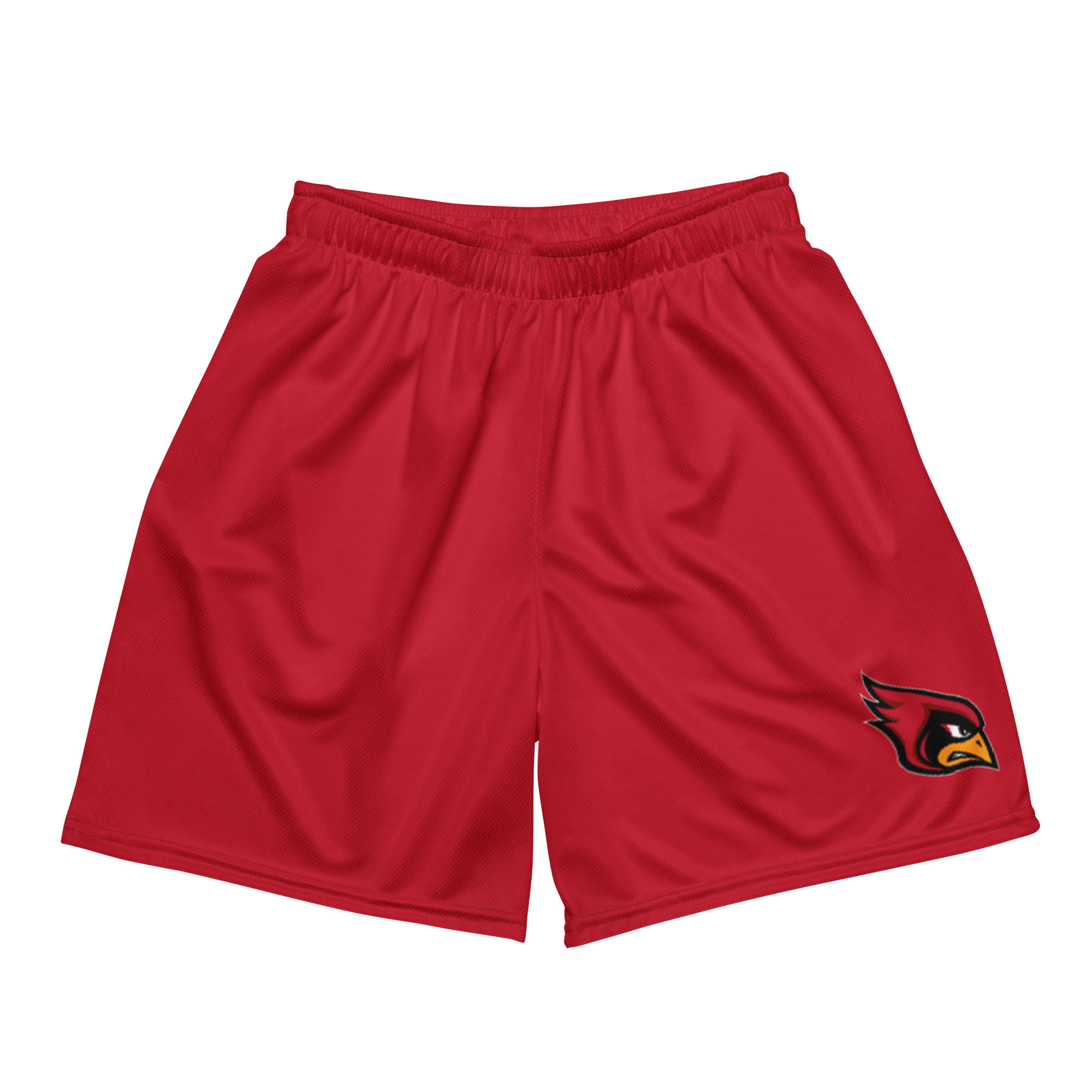 Raytown South Unisex Mesh Shorts