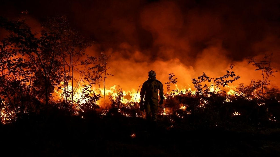 Ver al mundo en llamas: la carga emocional de cubrir la crisis climática