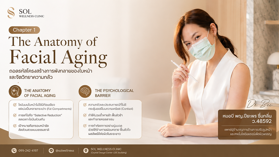 SOL Wellness Clinic poster: masked woman in white holds a pen beside Chapter 1 The Anatomy of Facial Aging text and Thai details