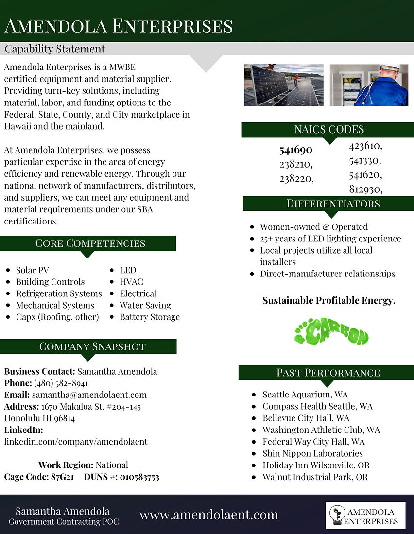 Capability Statement AmendolaEnt2020.jpe