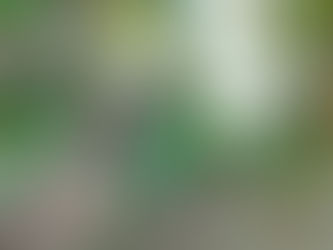 季節外れのご挨拶