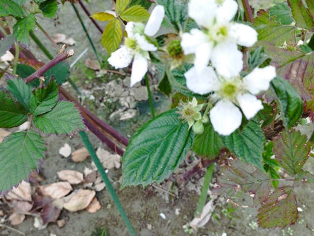 季節外れのご挨拶