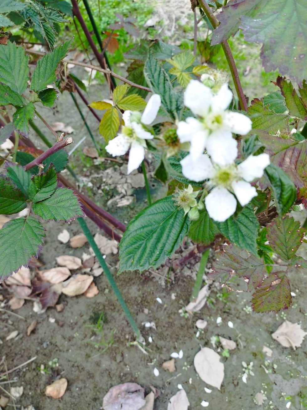 季節外れのご挨拶