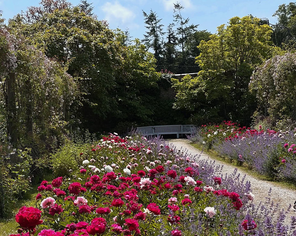 Waterford Greenway Walk, Co. Waterford, 27 June 2026
