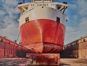 Изображение WhatsApp 2024-11-28 в 13.16.19_1cb33521.jpg