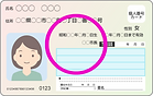マイナンバーカード_edited.png