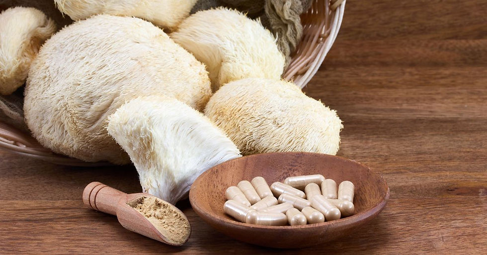 Lion's mane mushroom fruiting bodies in wicker basket with powder and capsules on wooden surface - natural brain health supplements