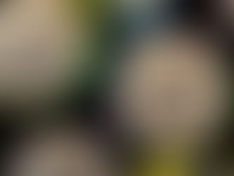 State troopers asked to prevent bottle redemption fraud