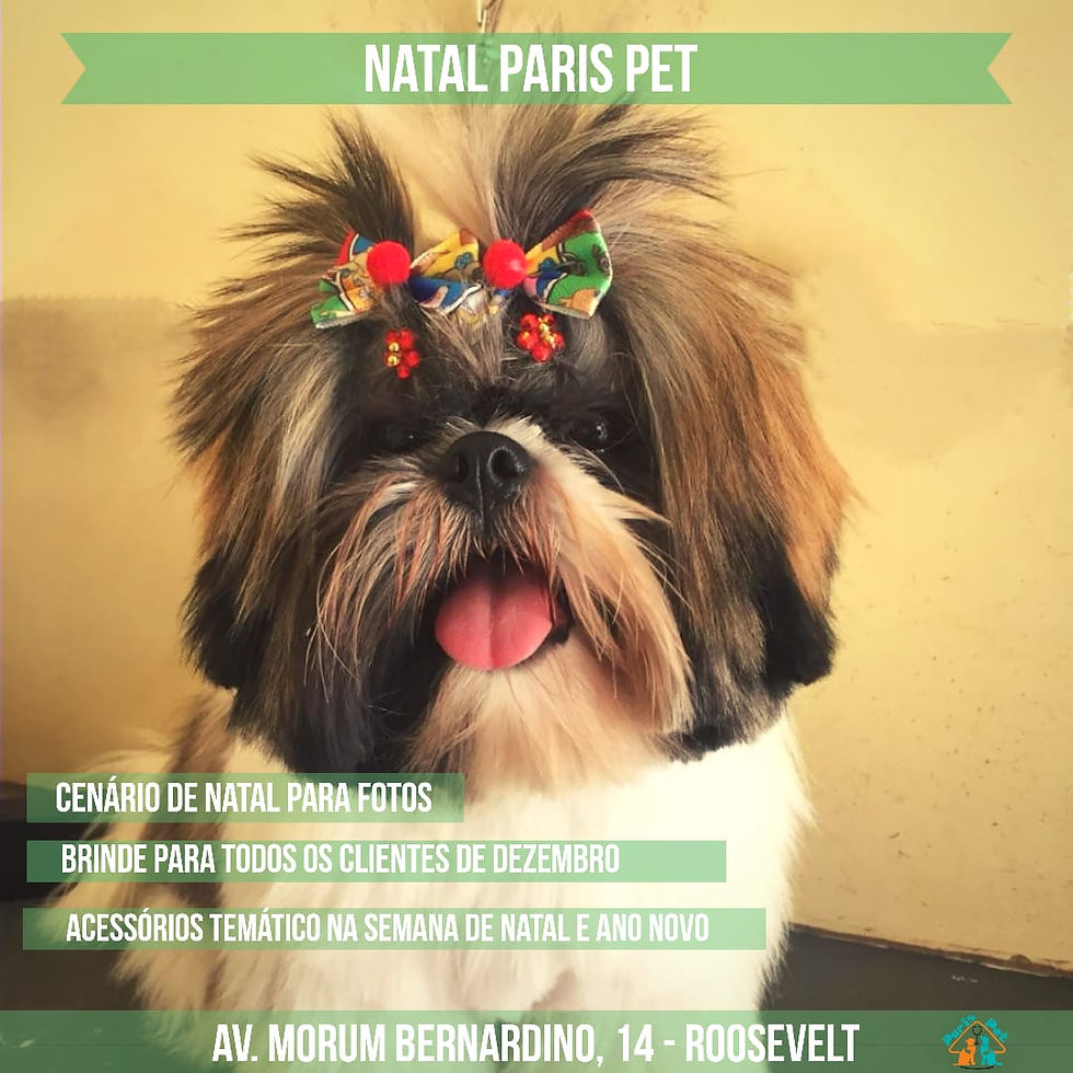 ESPECIAL DE NATAL