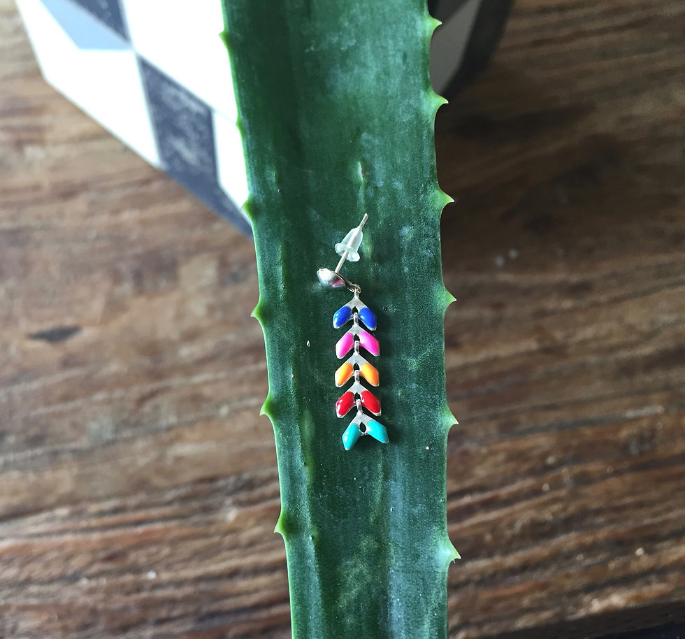 Boucles d'oreilles épis multicolore