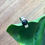 Miniature : Bague Onyx